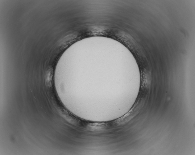 X0000112040082200908311245