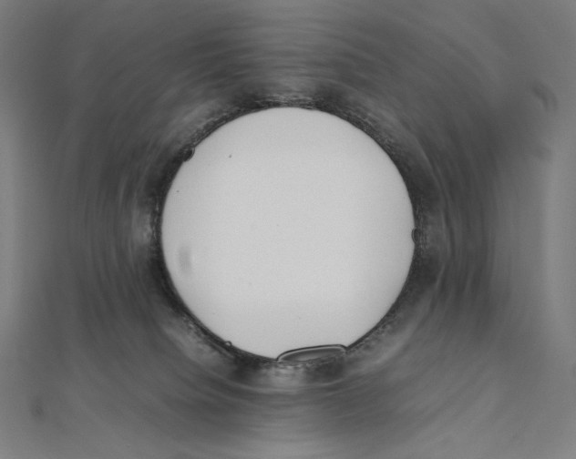 X0000112040084200908311245