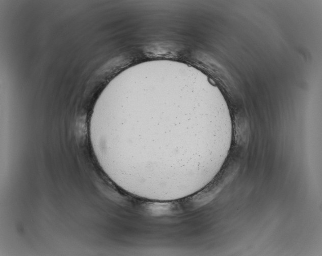 X0000112040085200908311245