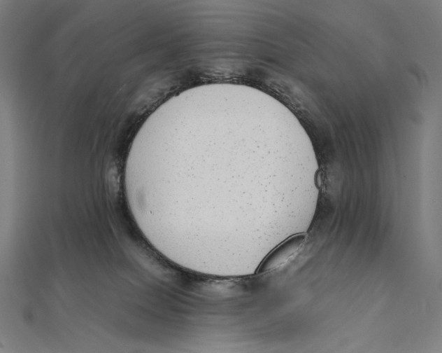 X0000112040086200908311245