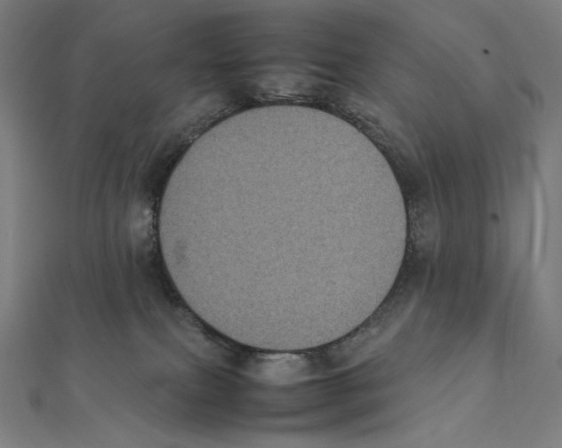 X0000112040087200908311245