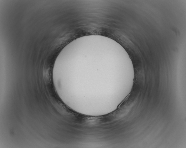 X0000112040088200908311245