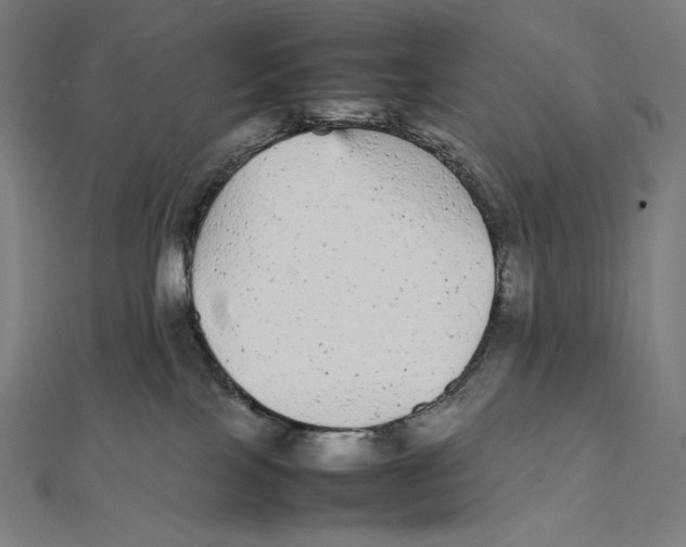 X0000112040089200908311245
