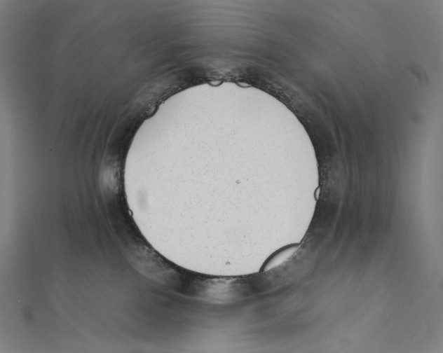 X0000112040090200908311245