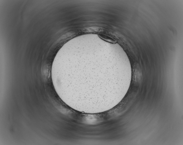 X0000112040091200908311245