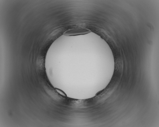 X0000112040092200908311245