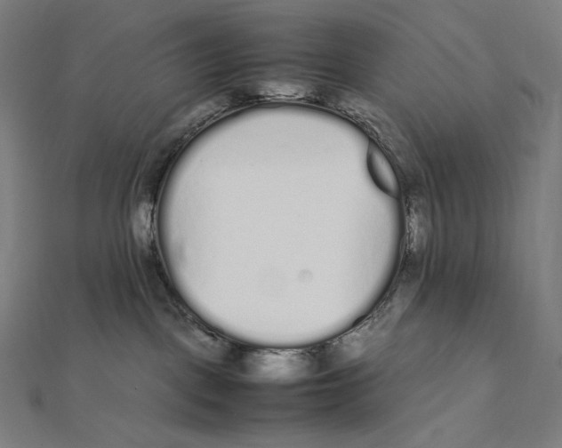 X0000112040093200908311245