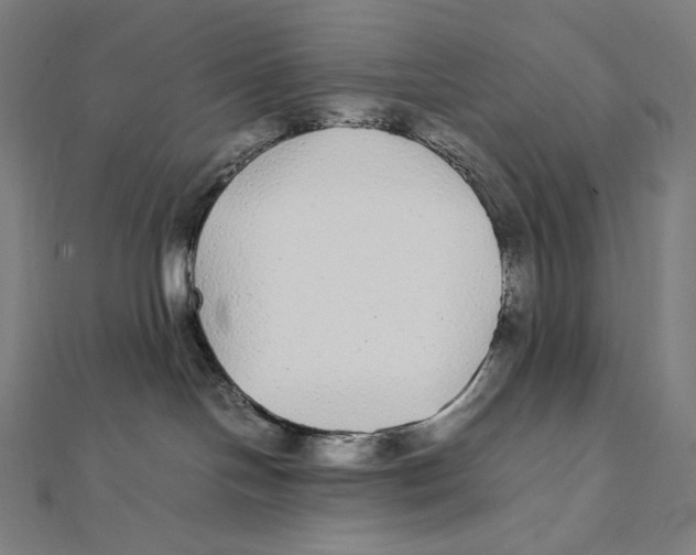 X0000112040094200908311245
