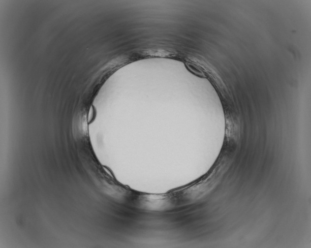 X0000112040095200908311245