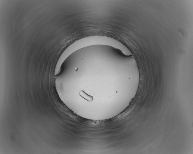 X0000112040096200908311245