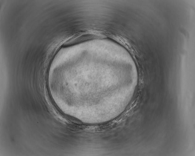 X0000112040097200908311244