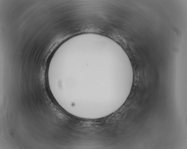 X0000112040098200908311244