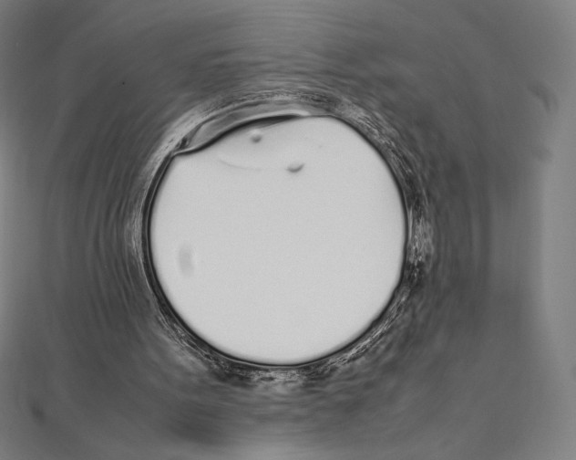 X0000112040099200908311244