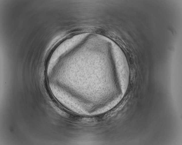X0000112040101200908311244