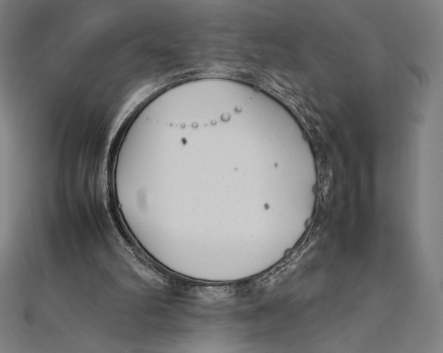 X0000112040102200908311244