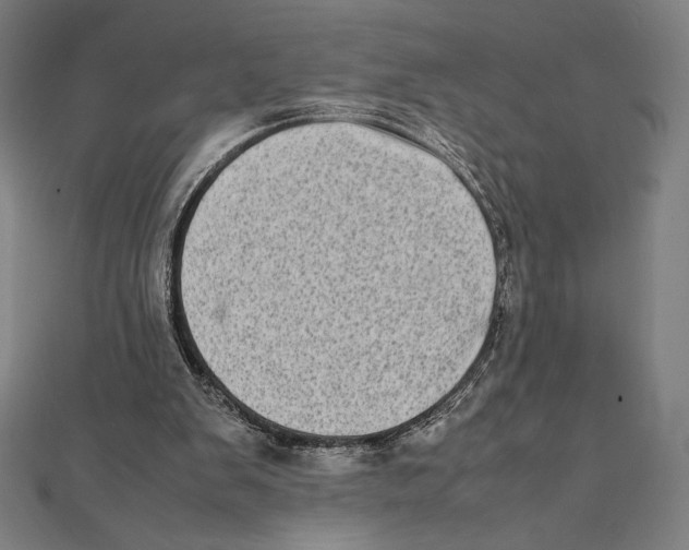 X0000112040103200908311244