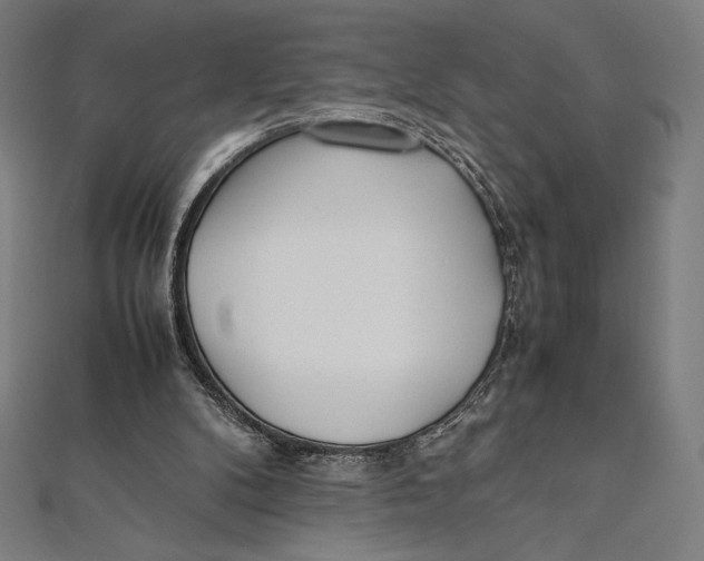 X0000112040104200908311244