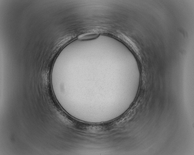 X0000112040105200908311244