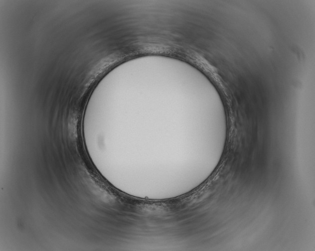 X0000112040106200908311244