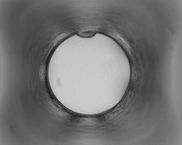 X0000112040107200908311244