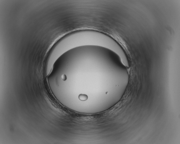 X0000112040108200908311244