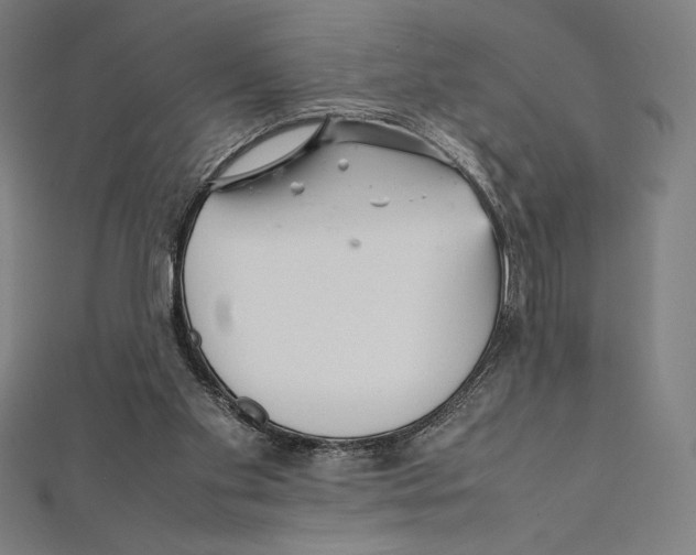 X0000112040109200908311244