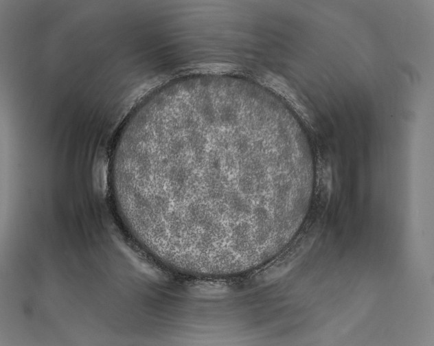 X0000112040110200908311244