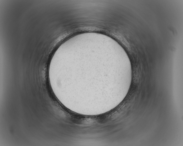 X0000112040111200908311244