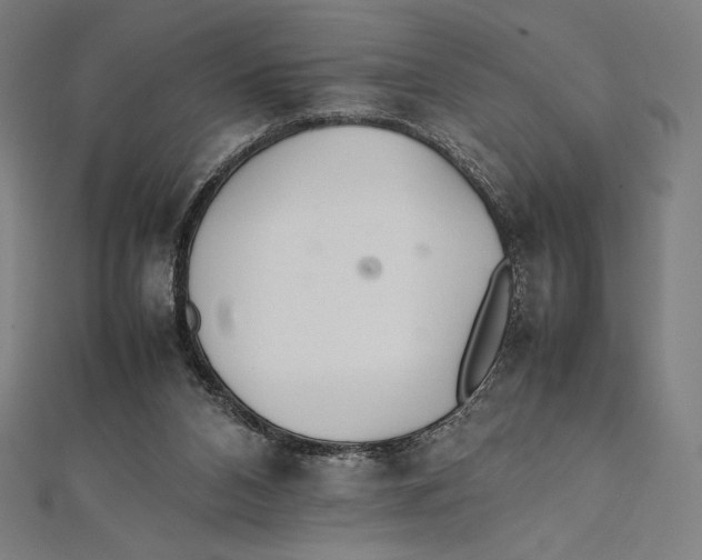 X0000112040112200908311244