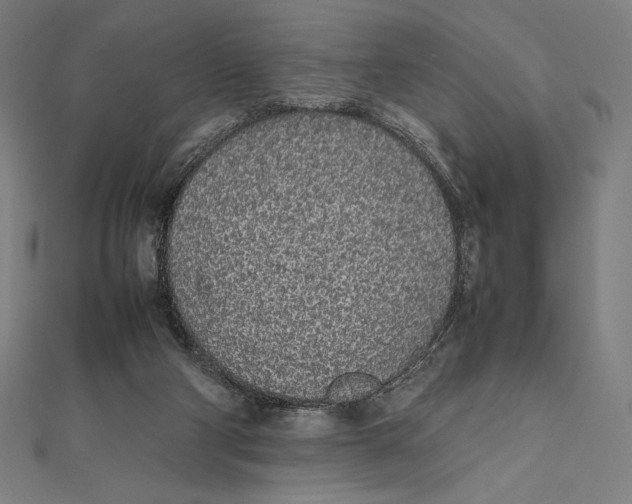 X0000112040114200908311244