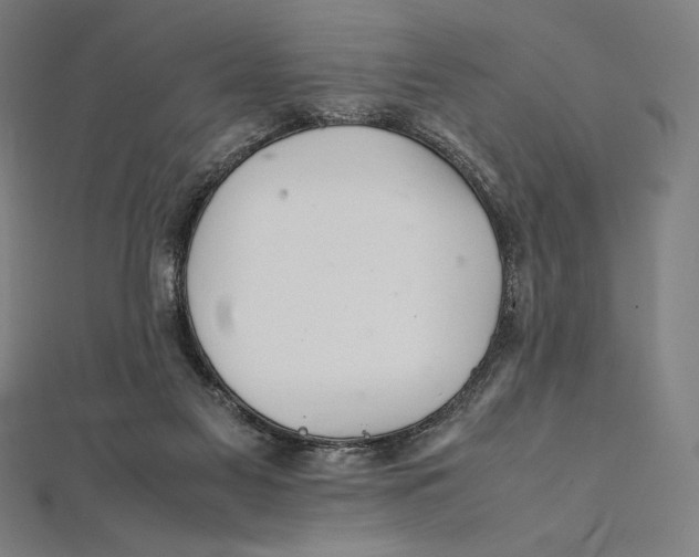 X0000112040117200908311244