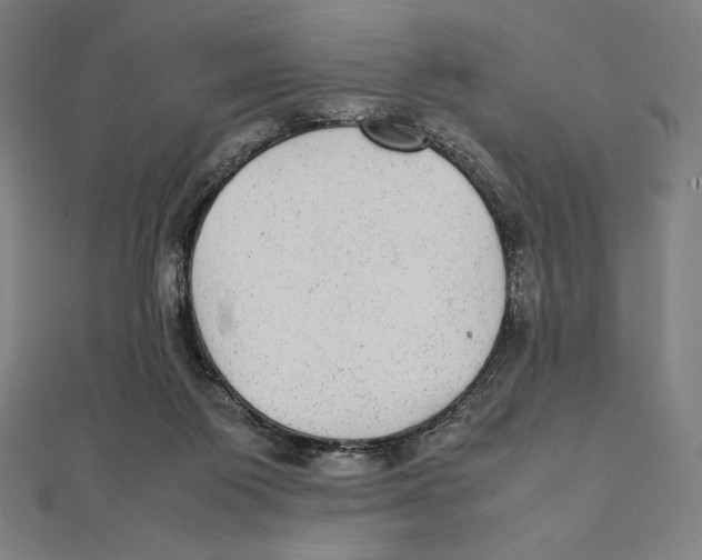 X0000112040119200908311244