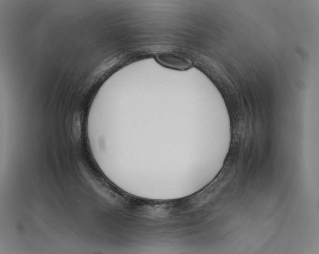 X0000112040120200908311244
