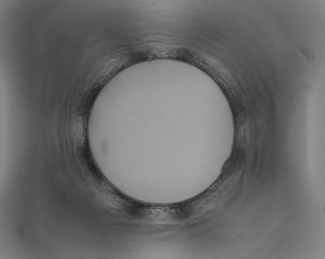 X0000112040121200908311244