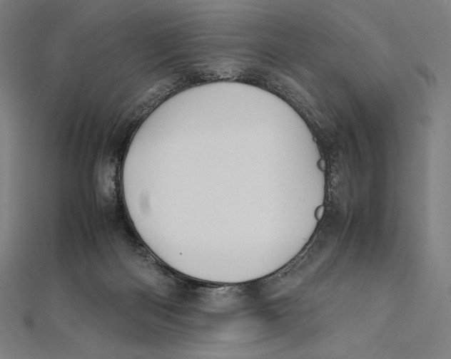 X0000112040122200908311244
