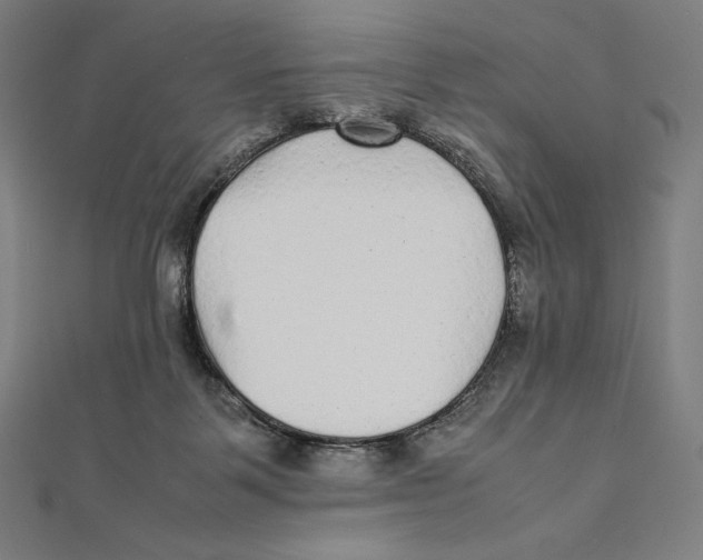 X0000112040123200908311244