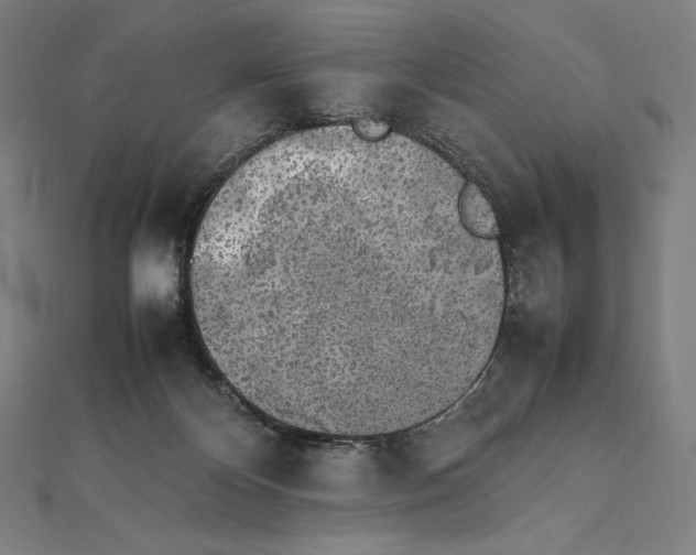 X0000112040124200908311244