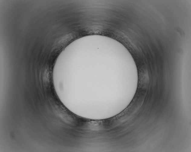 X0000112040126200908311244