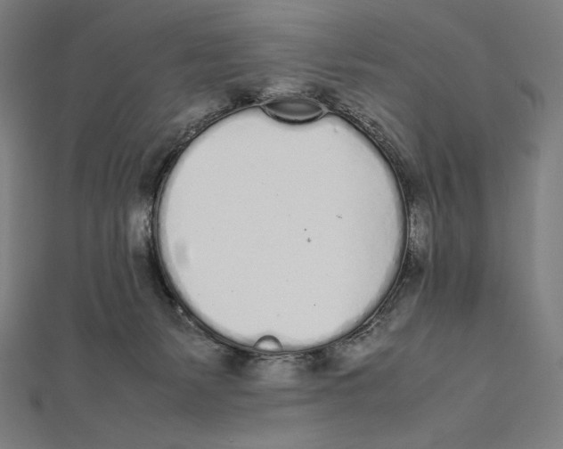 X0000112040127200908311244