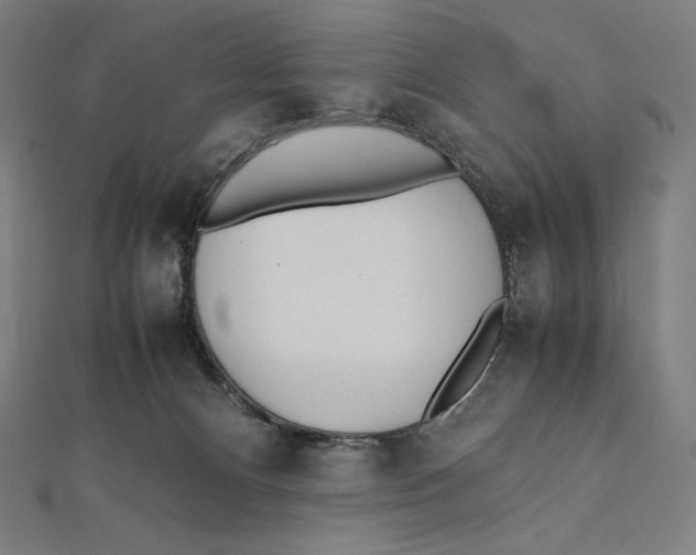 X0000112040128200908311244