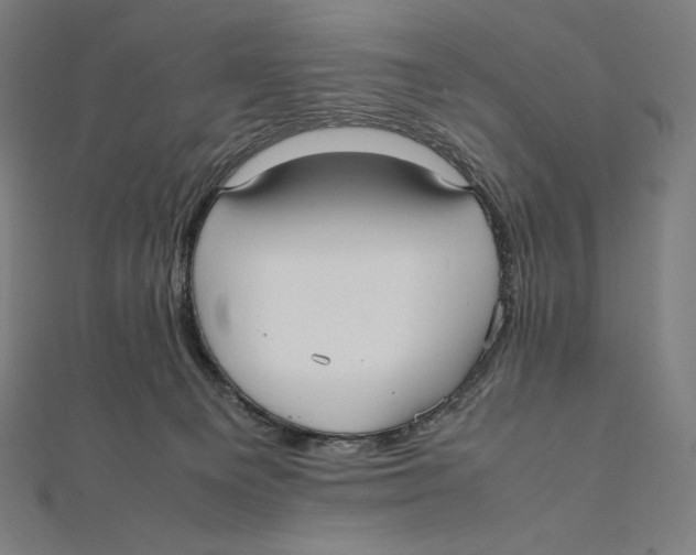 X0000112040129200908311244
