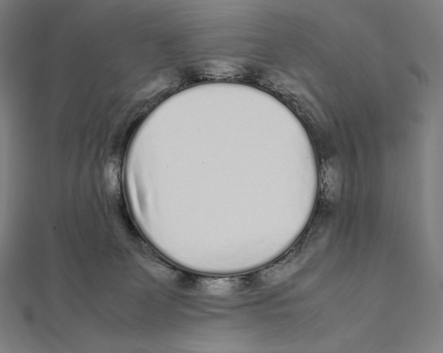 X0000112040131200908311244