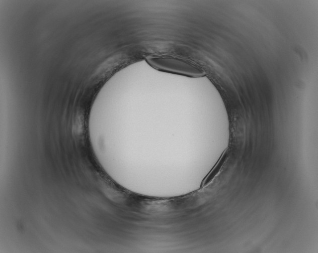 X0000112040132200908311244