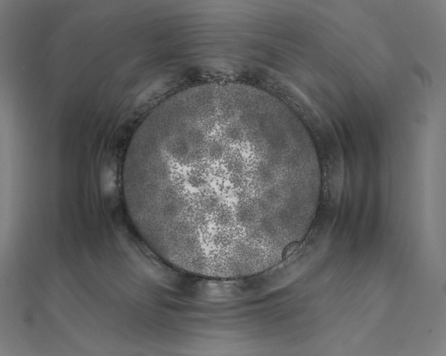 X0000112040134200908311244