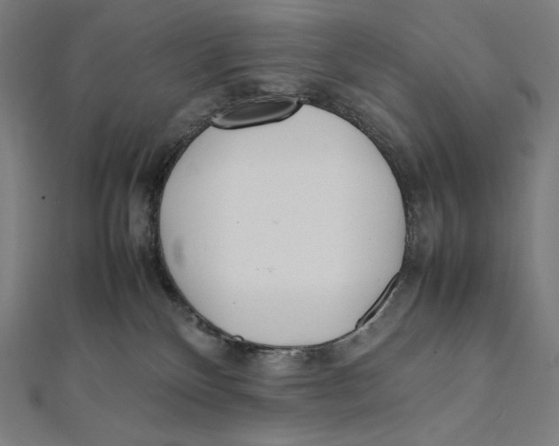 X0000112040136200908311244