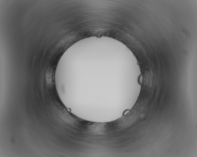 X0000112040138200908311244