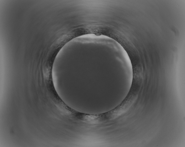 X0000112040139200908311244