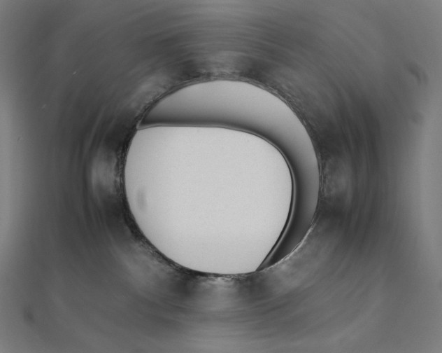 X0000112040140200908311244