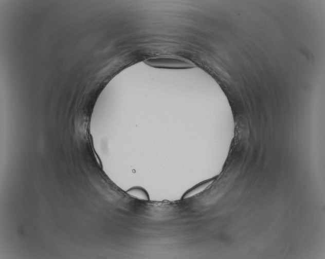 X0000112040141200908311244