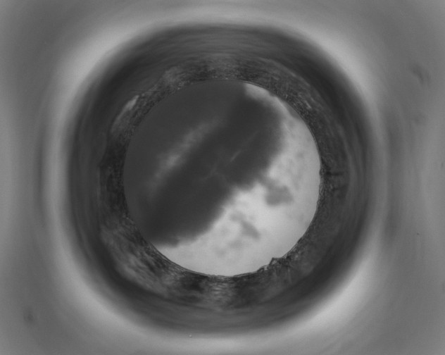 X0000112040143200908311244
